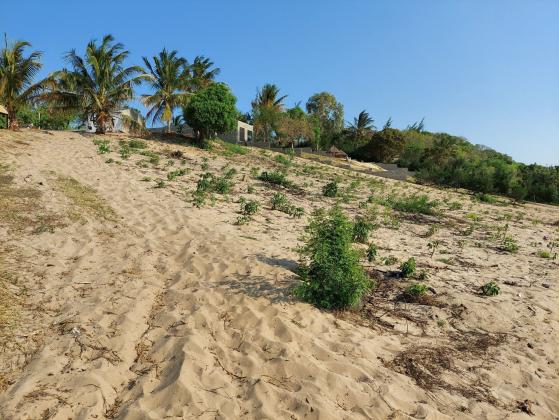 Terreno de 1100 m² para investimento na Praia do Bilene