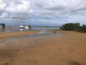 Terreno  de 1,5 hectare para investimento na Praia da Barra