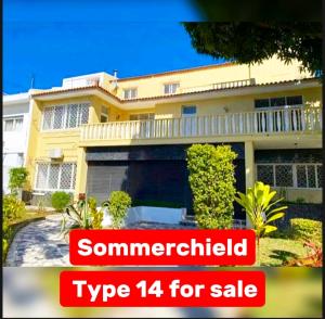 Sommerchield Type 14 for sale
