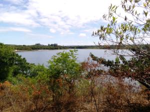 Trespasse Terreno no Bilene com Vista para Lagoa
