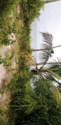 Transpassa-se enfrente a praia em Inhambane