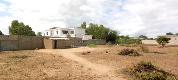 Traspase de terra na Mozal djonasse terreno grande o projecto era fazer condomínios