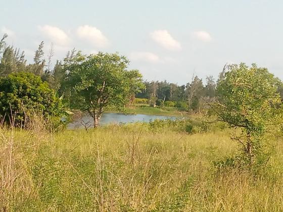 Propriedade com 33 hectares ao lado do rio - GOBA