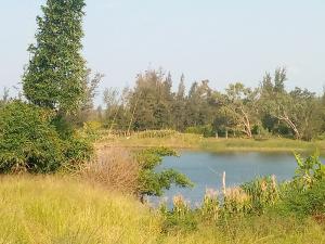 Propriedade com 33 hectares ao lado do rio - GOBA