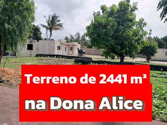 2 CASAS COM ÁREA DE 2441 m² NA DONA ALICE