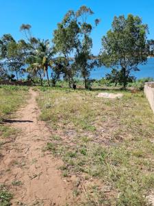 Terreno vedado 30x25 em Chidenguele em frente a Lagoa, com DUAT