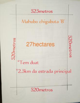 TRESPASSE 27 HECTARES EM MAHUBO