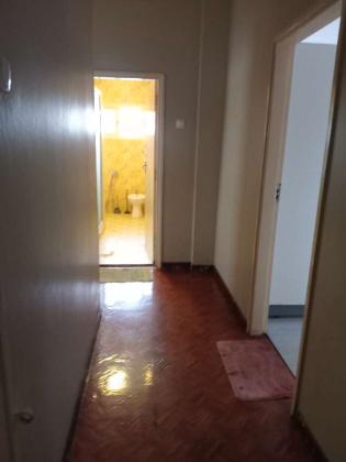 Novidade Vende-se n sommerchild Mão-Tse-Tung kamba simango
