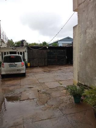 Novidade Vende-se n sommerchild Mão-Tse-Tung kamba simango