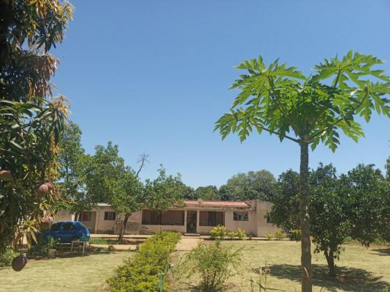 Casa T3 Com Placa no Fomento