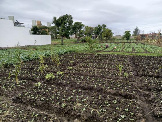 Transpasse de 2 propriedade para investimento, com uma área de 30/50m cada no bairro da costa do sol Dona Alice