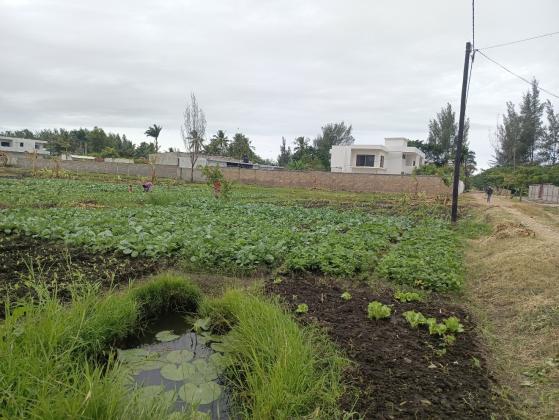 Transpasse de 2 propriedade para investimento, com uma área de 30/50m cada no bairro da costa do sol Dona Alice