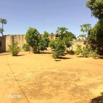 Vende-se Ruína, tipo2 no bairro de Albasine