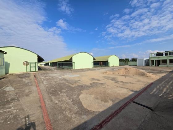 Vende-se Aviário na Matola