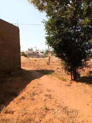 65 mil terreno no Zintava Trespasse de um espaço 11/20 com ruas largas e zona alta com construções incríveis e vizinhos jovens 