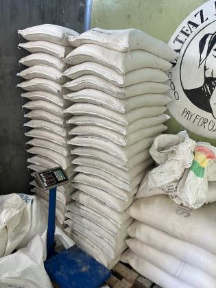 ALIMENTAÇÃO CANINA FARINHA DE SOJA E SERRADURA