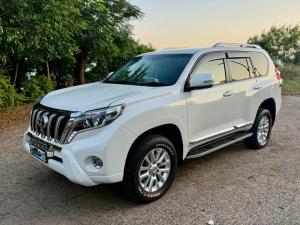 vendo prado
