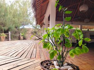 Vende-se instância turística(lodge) na Praia do Tofo - Inhambane Icéu