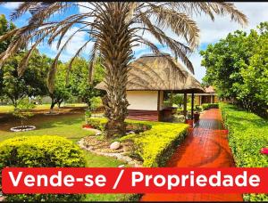 Vende-se Propriedade ( Quinta )