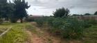 TRESPASSE DE UMA PROPRIEDADE 15X35 A 7 MINUTOS  DA A.V DOM ALEXANDRE NO BAIRRO DE ZINTAVA- MARRACUEN