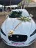 Viaturas Disponíveis Para Aluguer : NB: Valor Correspondente ao Aluguer do Carro + Motorista   Comb