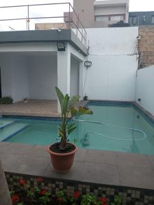 VENDO BOA MORADIA T-4, 3 SUÍTES, COZINHA MODERNA AMPLA, CLIMATIZADA, DEPENDÊNCIA, PISCINA NO TRIUN