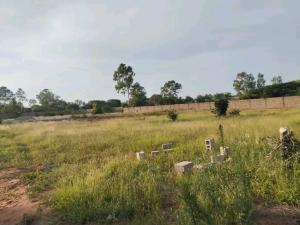 Propriedade (terreno) 20x40m na Facim Ricatha ruas dos favos a 5 minutos do pavê rua dos Favos