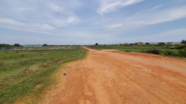 Trespassa-se Terreno em Albazine_Proximo a Circular_1 hectare