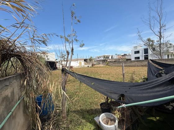 Terreno vedado com 1.000m² de area - TRIUNFO