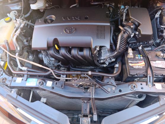 Auris recente