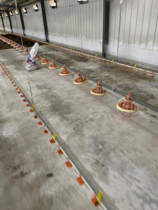 Vende-se aviario industrial num terreno de 5.000m² - FACIM