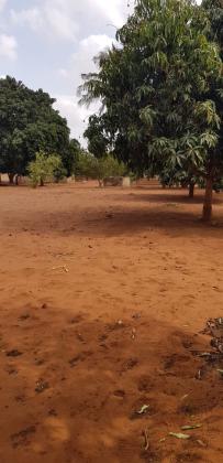 Terreno com 5.000m² e com uma instituicao como vizinho - HANHANE