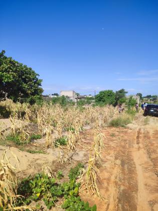 Terreno de 8 hectares a berma da estrada circular - ALBAZINE
