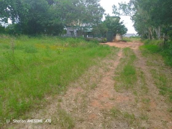 Terreno de 5hectares a berma da estrada - EN1