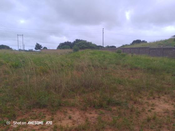 Terreno de 5hectares a berma da estrada - EN1