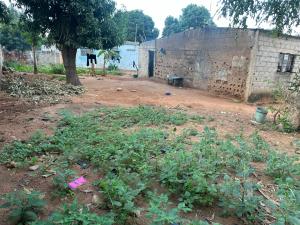 trespasse propriedade em laulane